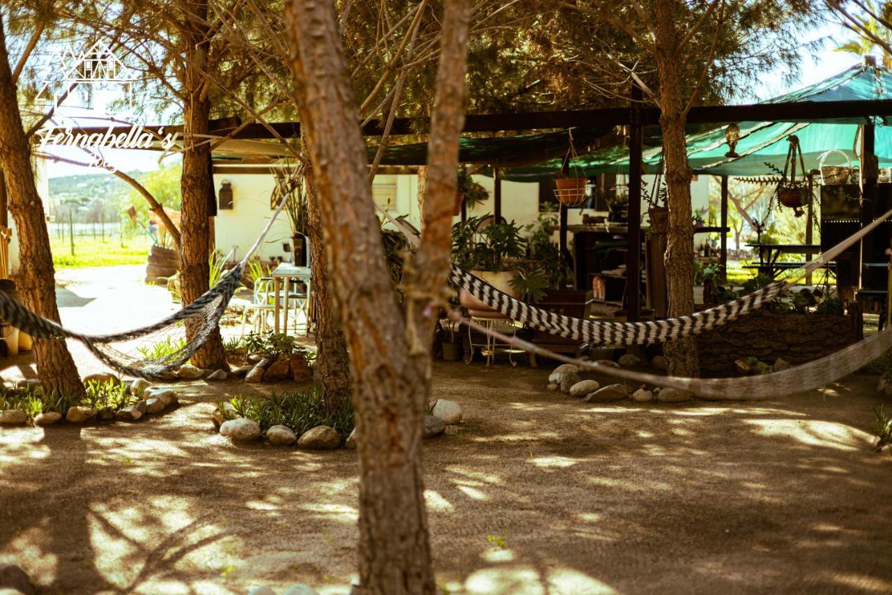 Fernabella's Valle de Guadalupe