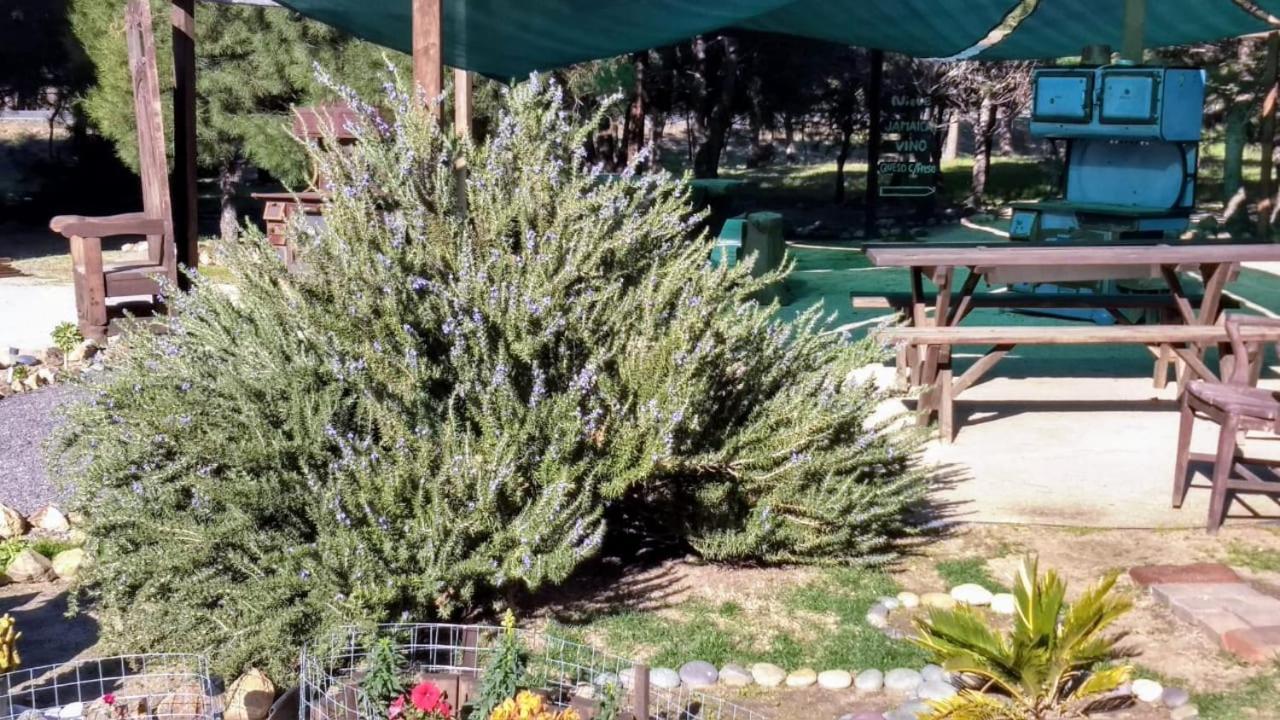 Lodge Fernabella's Valle de Guadalupe